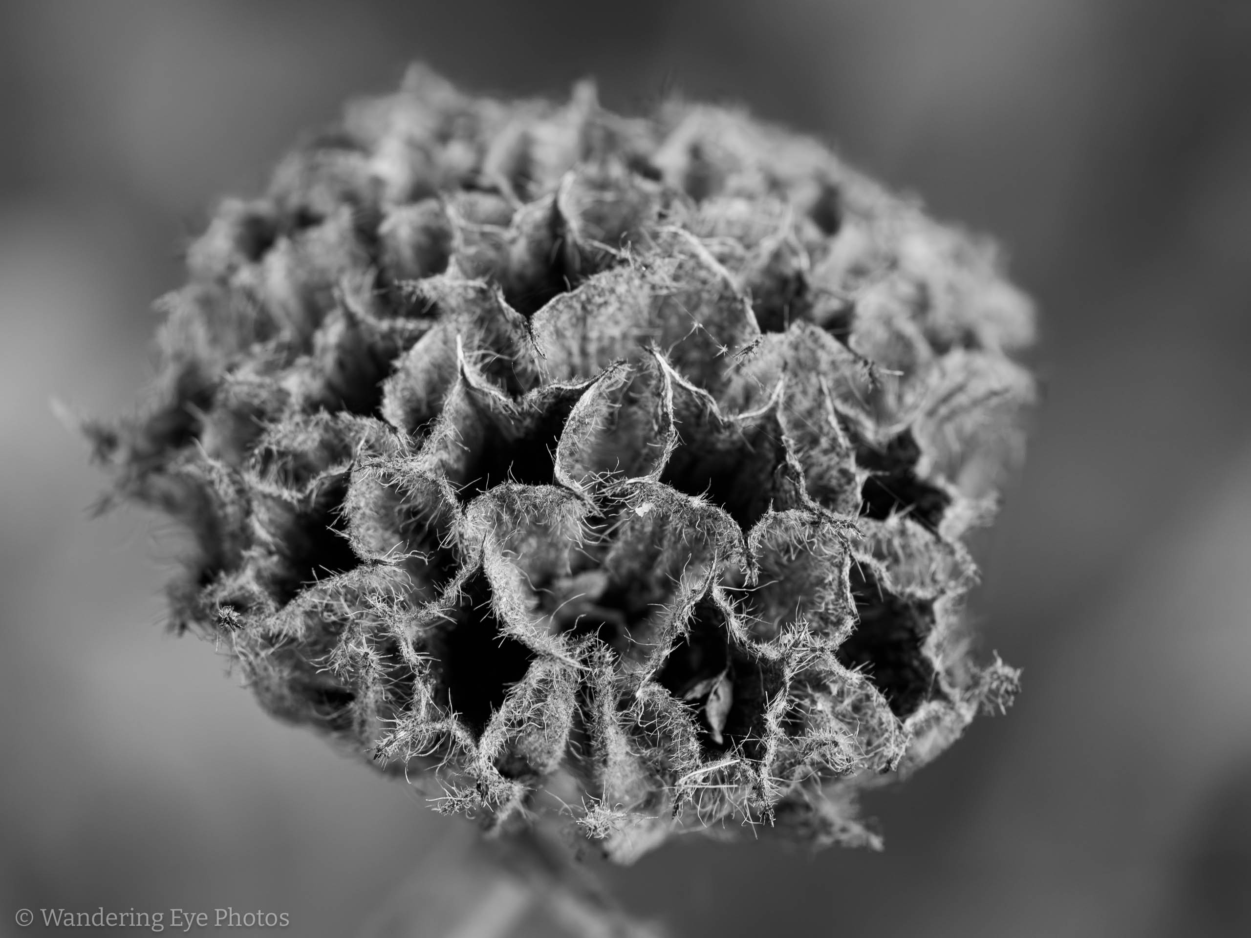 11.09 14.39.39   PB090488